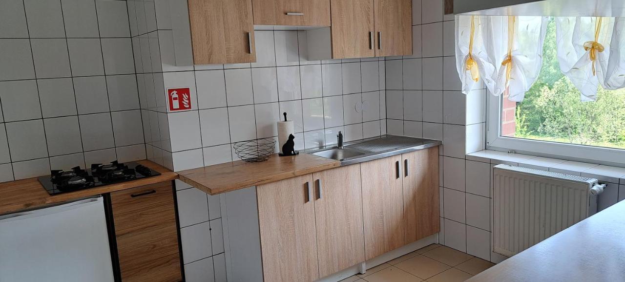 Gorskie Zacisze Bed & Breakfast Borowice Exterior foto