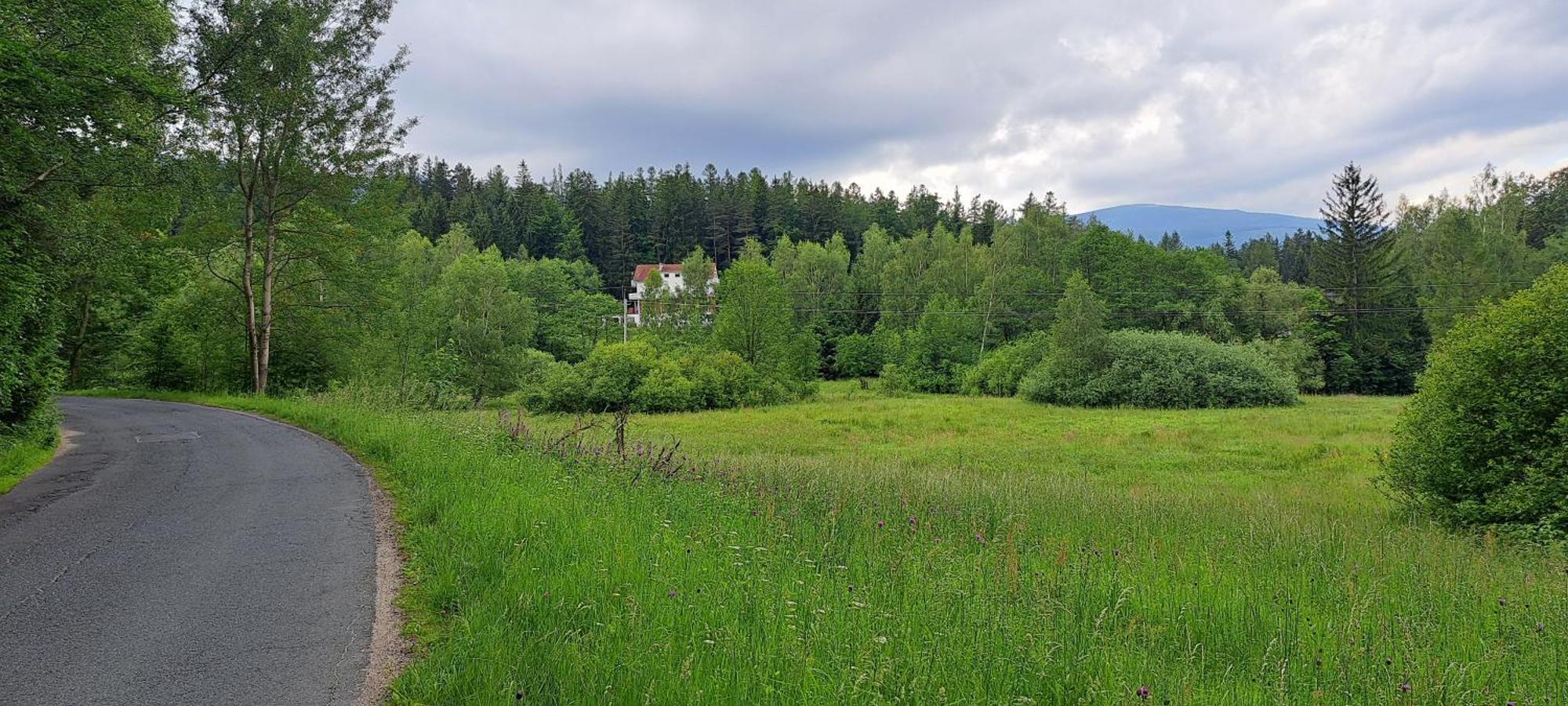 Gorskie Zacisze Bed & Breakfast Borowice Exterior foto