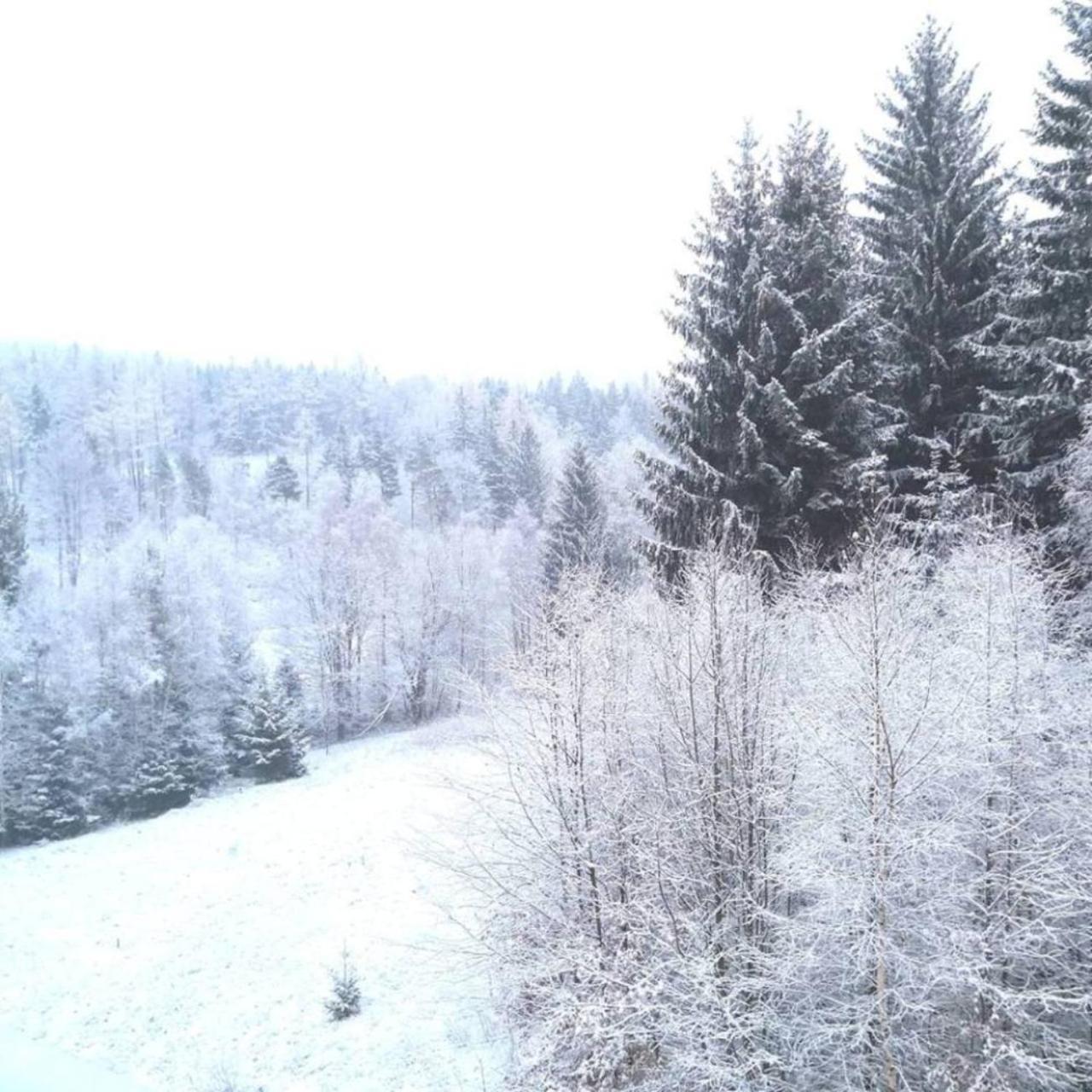 Gorskie Zacisze Bed & Breakfast Borowice Exterior foto