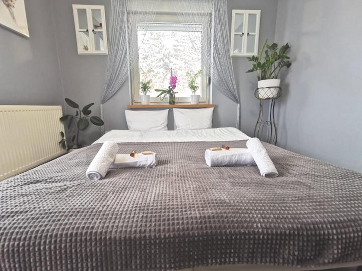Gorskie Zacisze Bed & Breakfast Borowice Exterior foto